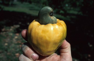 4AACC6DC-0DDB-4225-AF7C-31660261DB5E