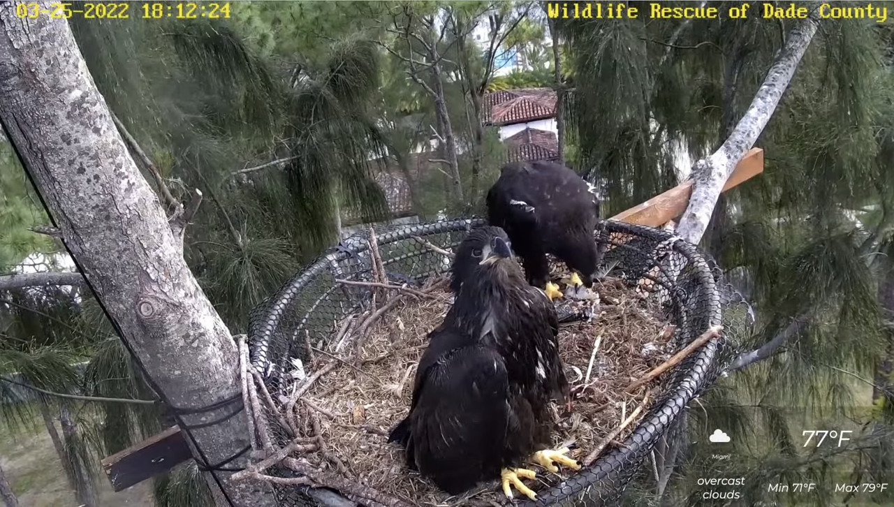 8A1D3E84-F300-40B4-B620-D0EE2943B4CB