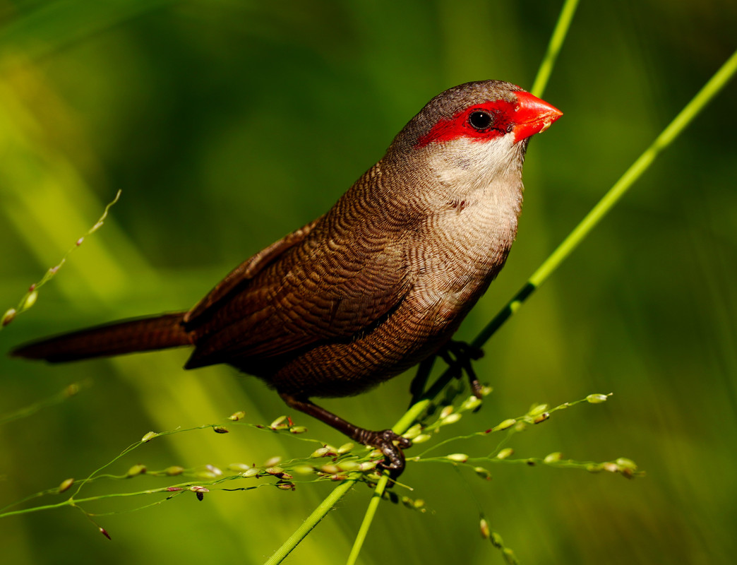 C2BE6E97-5146-4D1E-AC3C-A7AEA413D19D