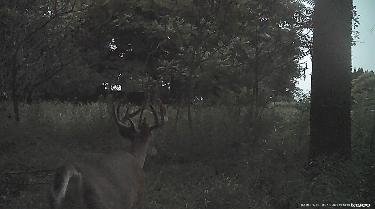 46DD2D30-EB50-45C0-8E5B-A31B8636B15E