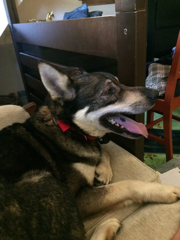 E41B297F-B624-4E12-9719-97D8CB6F0D62