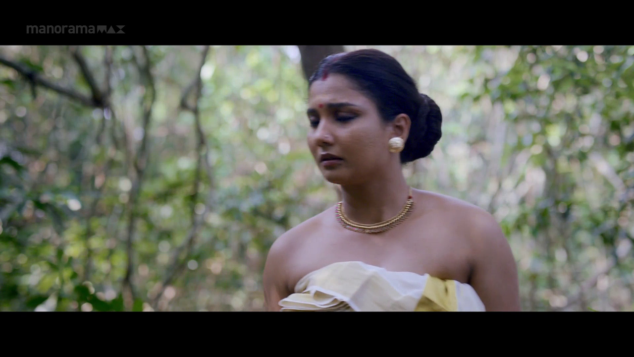 vlcsnap 2026 02 06 17h16m46s110