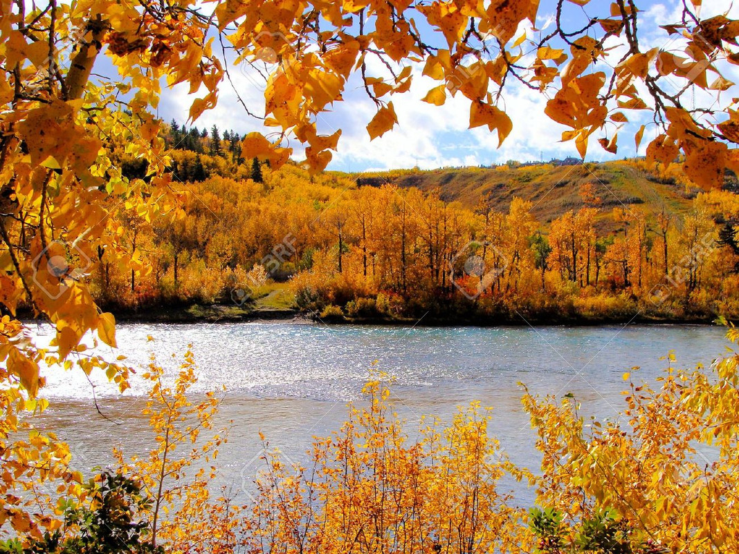 صور لجمال الطبيعة في فصل الخريف 10331545-Colorful-fall-foliage-framing-a-autumn-scene-along-the-river-Calgary-Canada-Stock-Photo