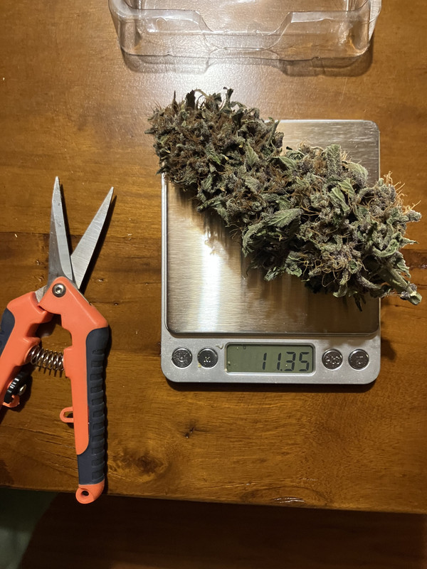 86AB1D16-663B-4E93-A5A3-2CB585B3A621