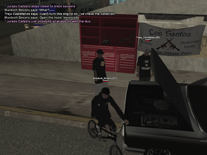 SS1.png