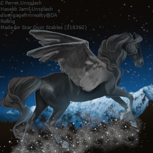 star-dust.png