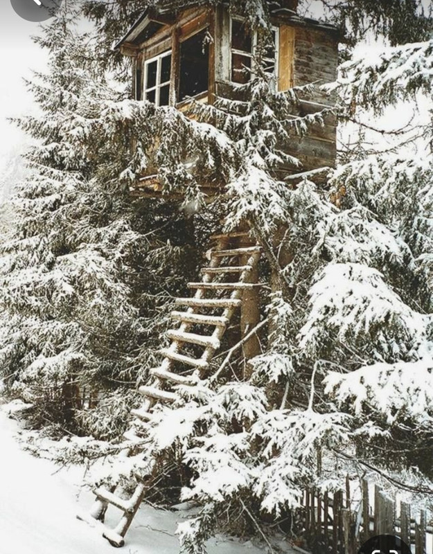 Screenshot_20231126_202841_Pinterest