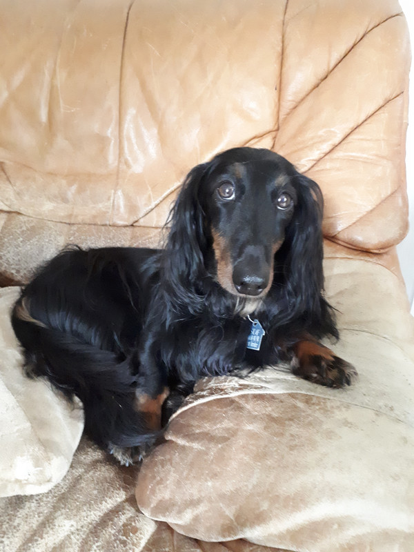 [Image: 20200923-132808.jpg]