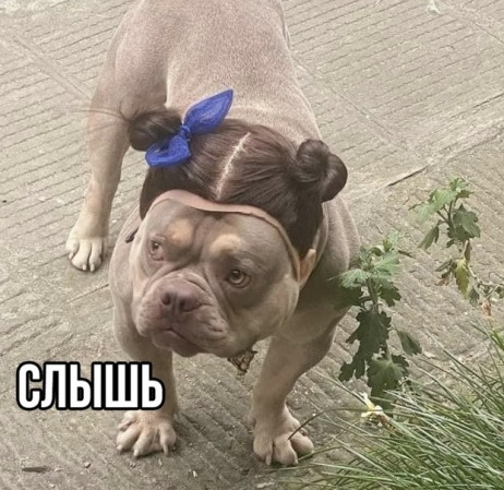 626421
