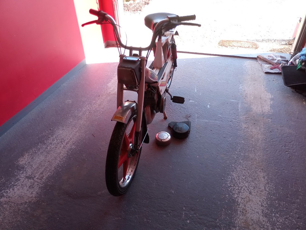 IMG_20240303_160659_897