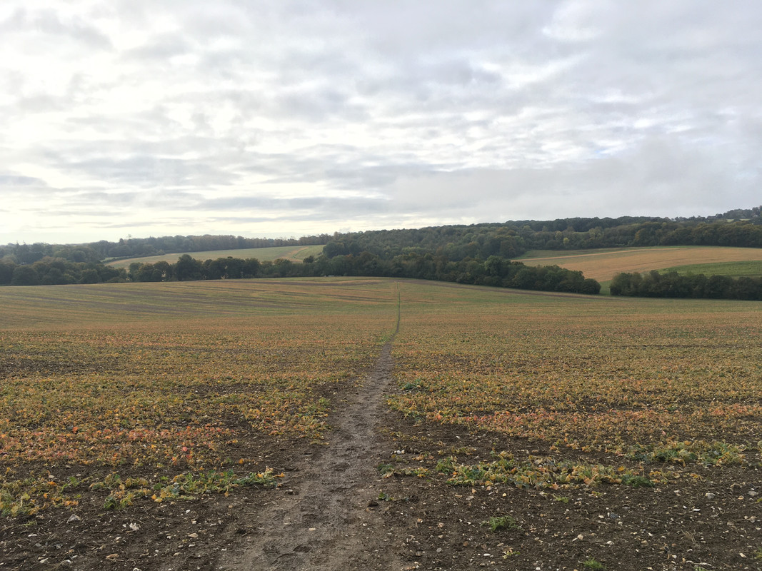 5F2CE695-F0AF-4A12-9173-BB97D43309C2