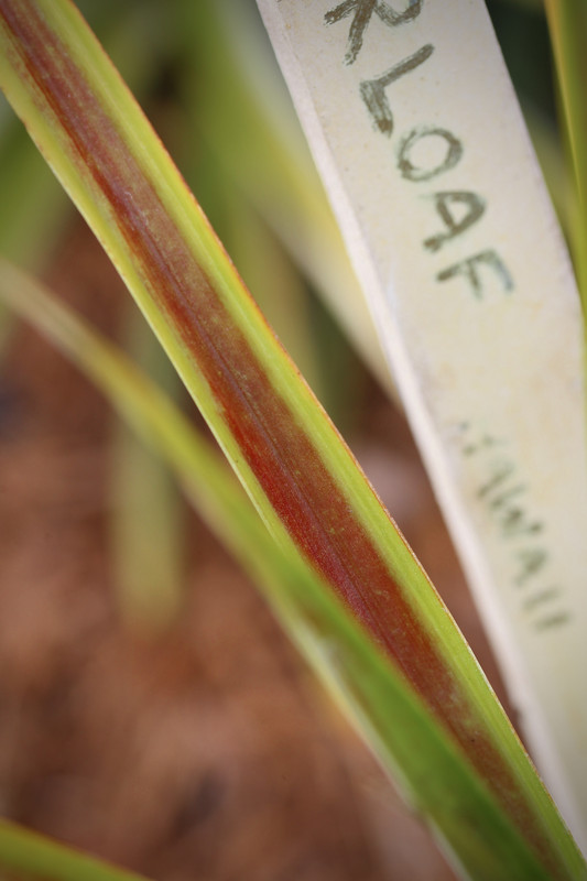 3F23EA20-82F2-4DEF-AE2C-4B276DE9DA76_1_201_a