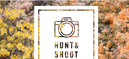 Hunt & Shoot: Pattern and Texture Photography