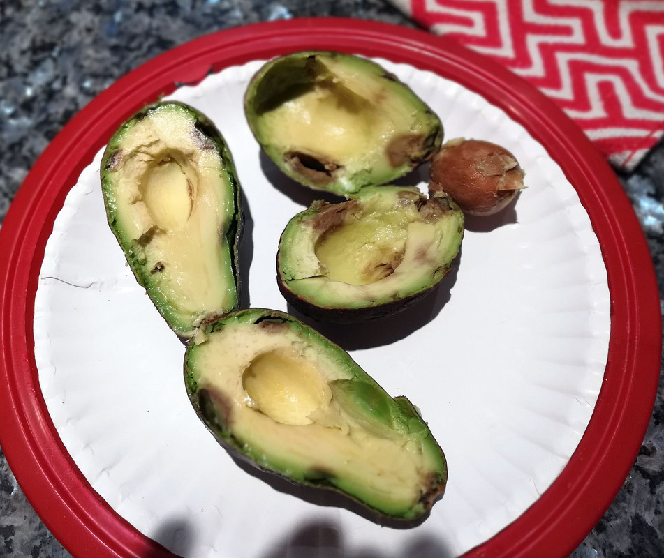BadAvocadoSept19