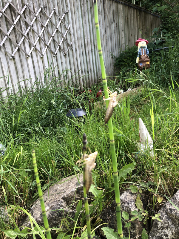 9298465E-147F-4821-8E92-371DBD4138FC