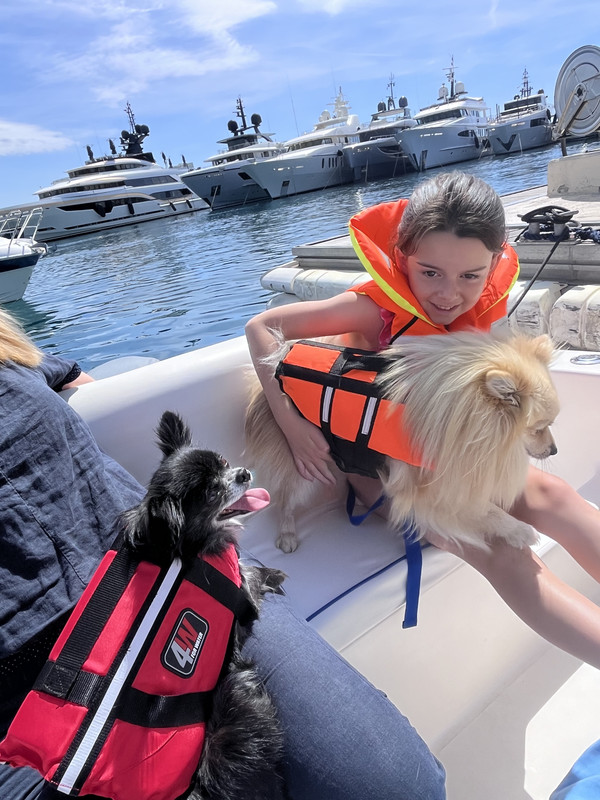 [Image: IMG-9159.jpg]