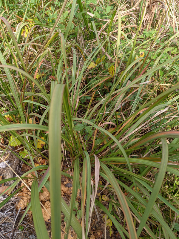 PXL_20211116_165129252