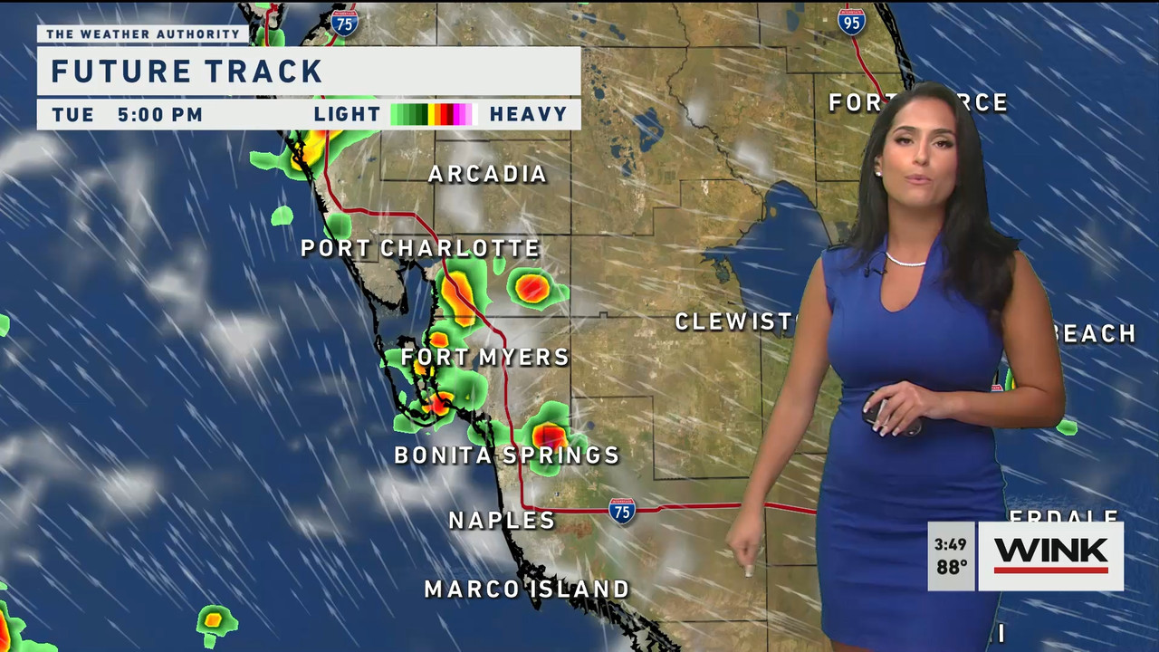 05.24 - 20.00.00 - WINK News at 3 00 p.m._001.ts_snapshot_01.49.040