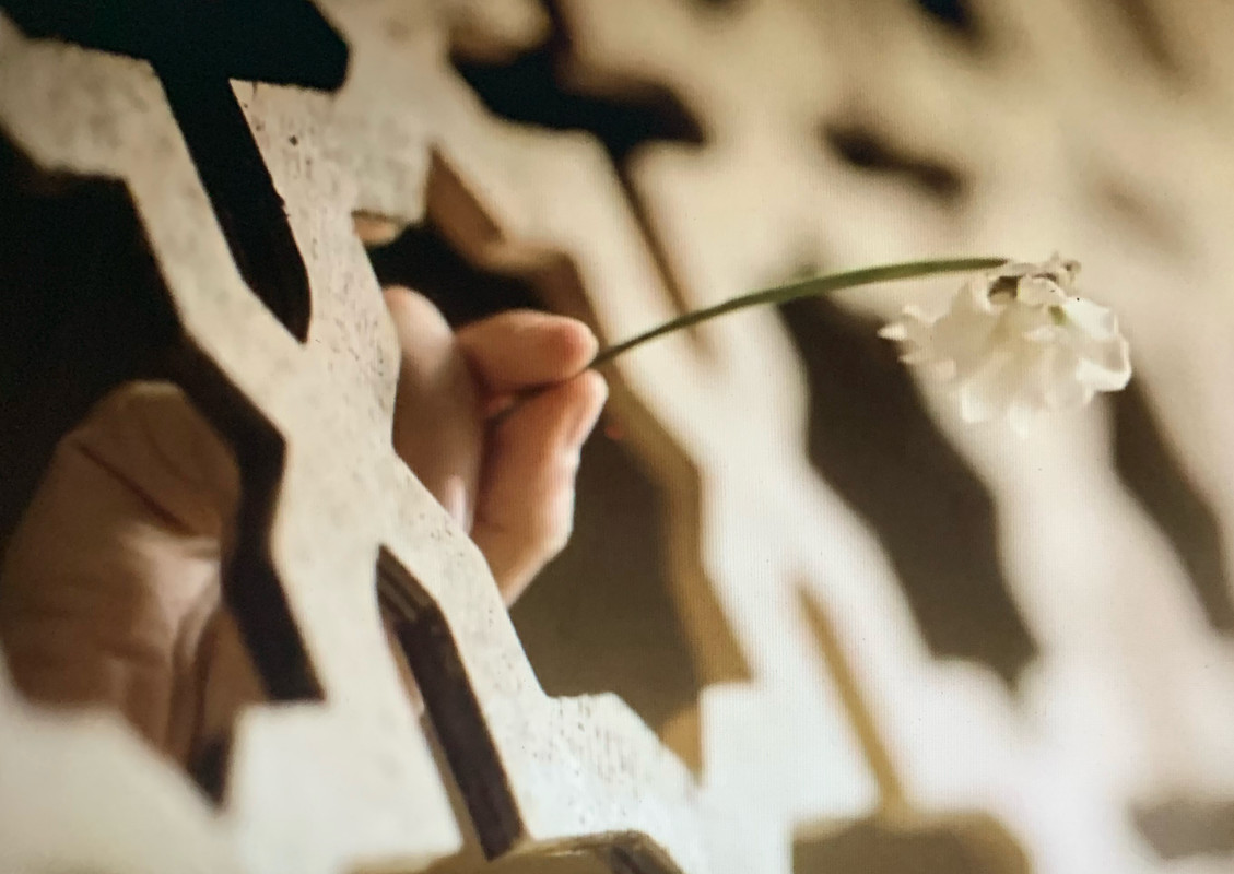 A1F74E87-4561-4A67-9ECD-992D3685E388