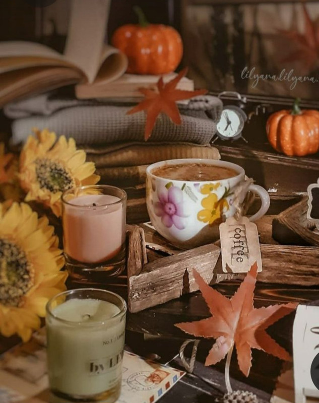 Screenshot_20230305_011321_Pinterest