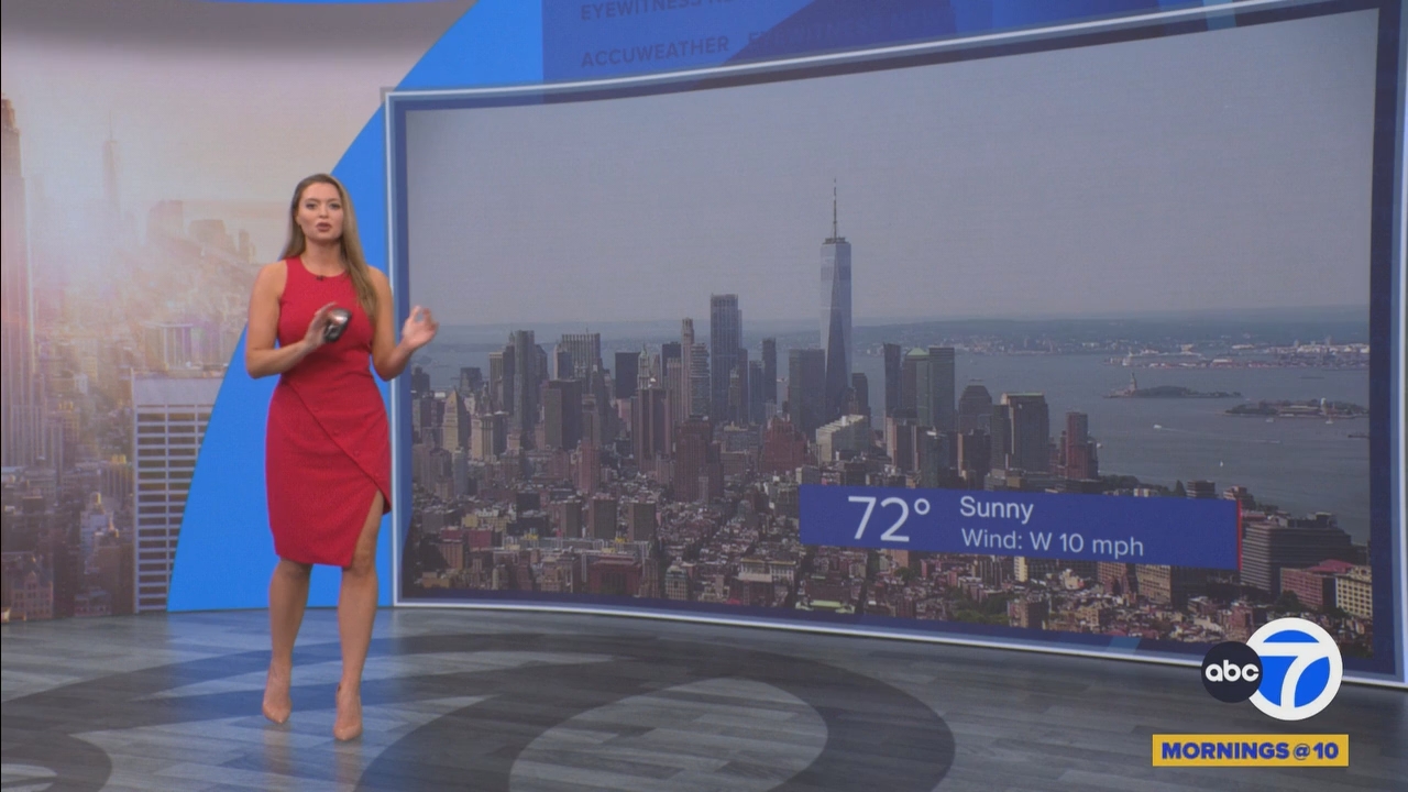 Eyewitness News Mornings at 10_20250620_15001600.ts_snapshot_00.18.06.221