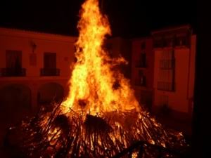 images 2026 02 15T230004 373