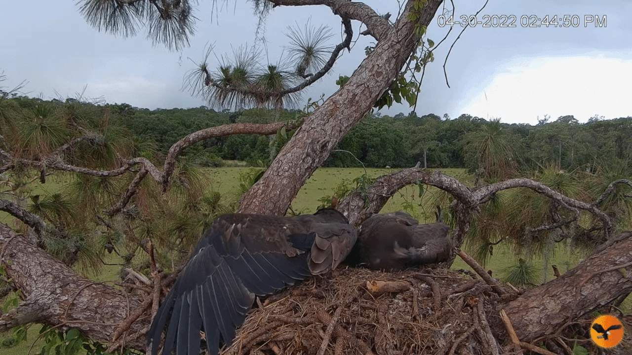 Webp.net-gifmaker (6)