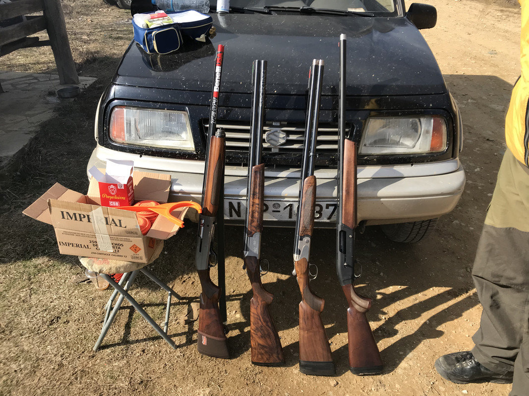 B036CF79-DF97-4407-8575-9402B8126914