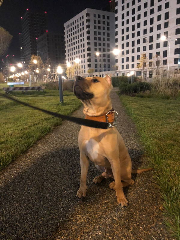 898192D9-DAEF-42A5-BA0E-1B05C797251C