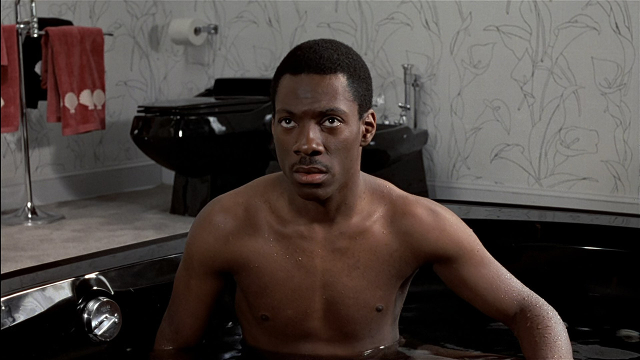Trading Places 1983 (1080p x265 10bit Tigole).mkv_snapshot_00.29