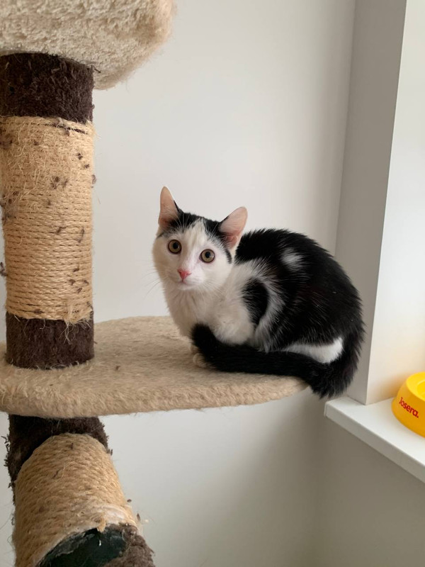 32BAA036-9570-4DB0-8CF7-69E911D3BFBA