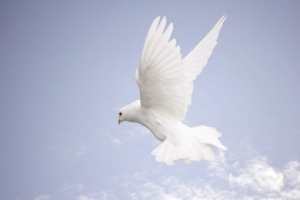 [Image: condoleances.jpg]