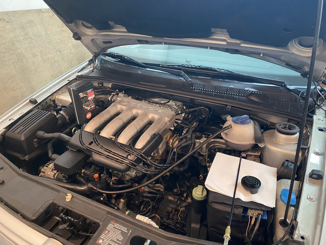 66DB2296-E11F-4BA7-866D-3D2C781CA795