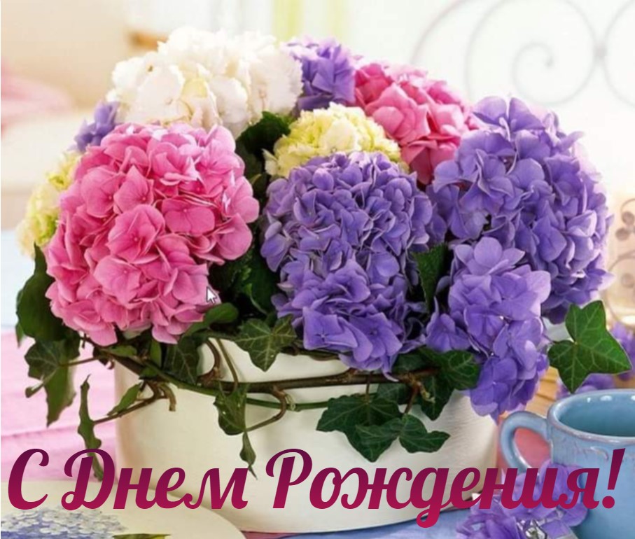 https://i.postimg.cc/sXncbmTb/2e01a8c179912744f58f010b95fa5dc5.jpg