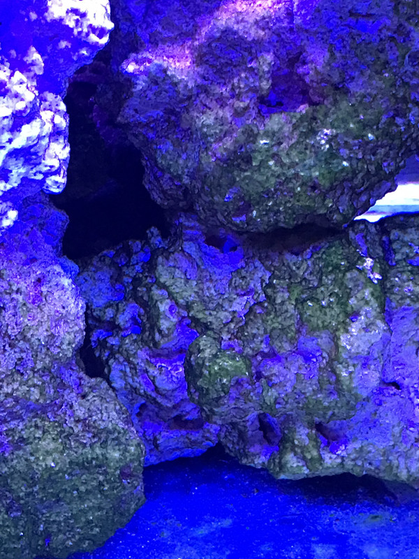 D55D9A07-3153-4CC4-A122-0C8A9E829DC1