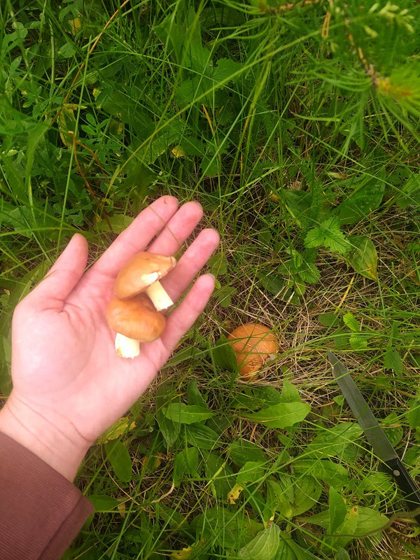 IMG_20230702_112250 (1)