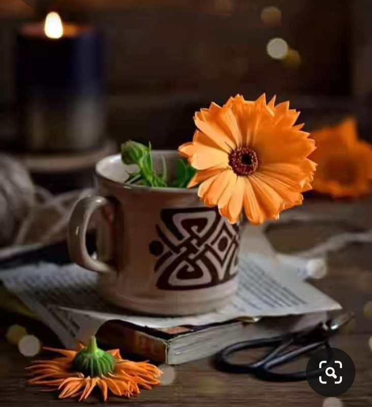 Screenshot_20230710_233538_Pinterest