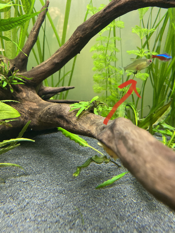 A8BE2379-4E29-488C-A6B0-5A6747475EF7