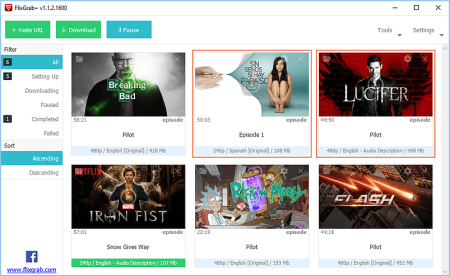 FlixGrab+ 1.6.16.1298 Premium Portable