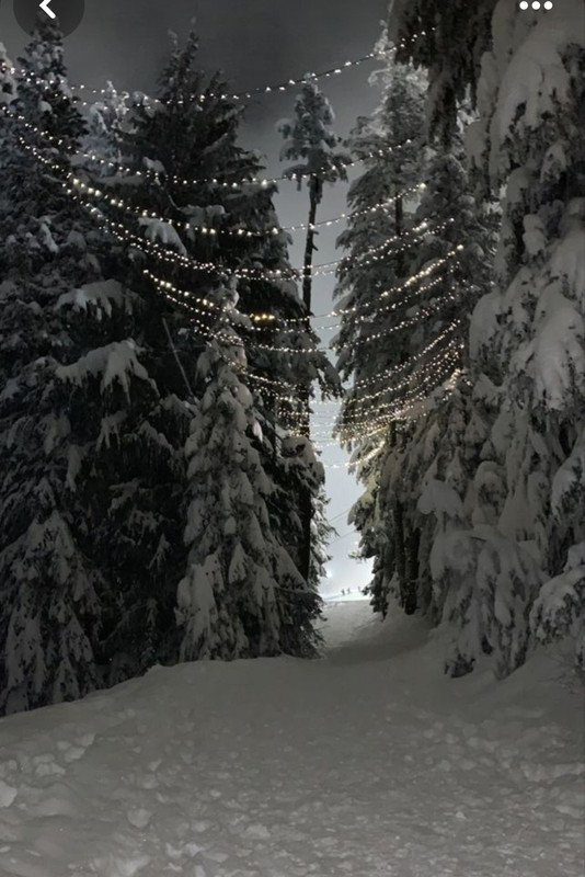 Screenshot_20231213_231355_Pinterest