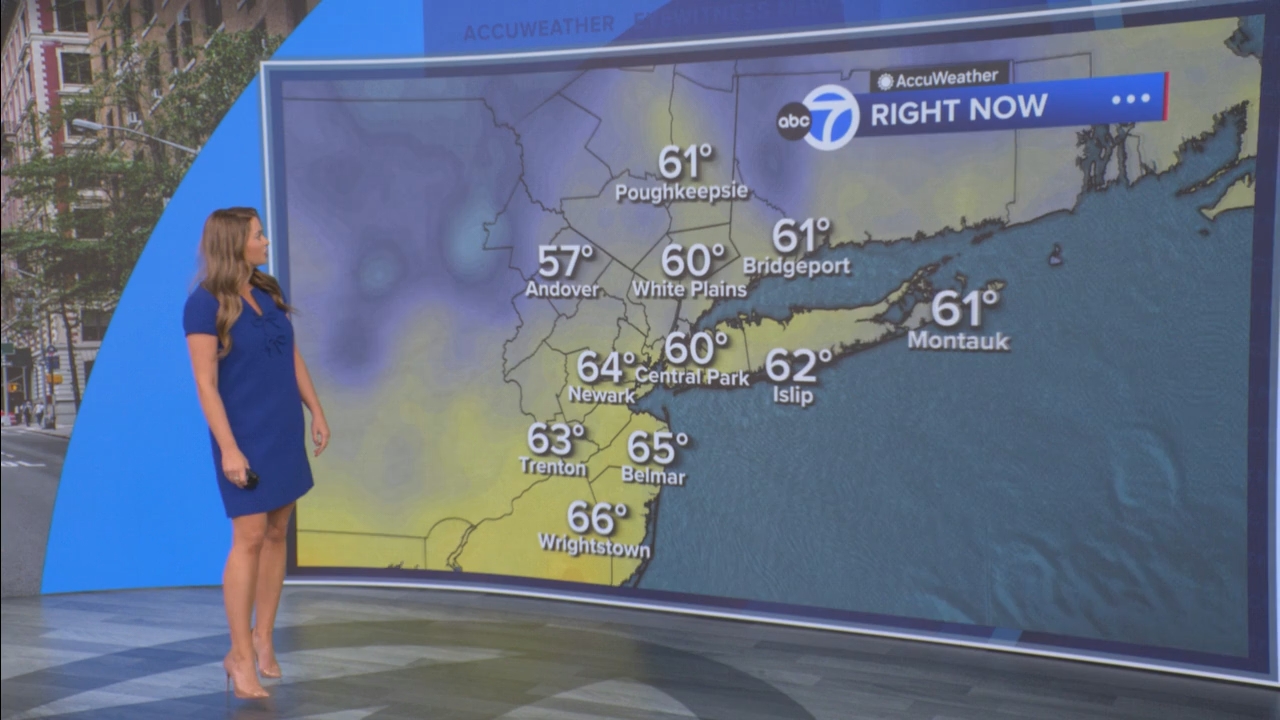 Eyewitness News Mornings at 10_20250519_15001600.ts_snapshot_00.29.03.243