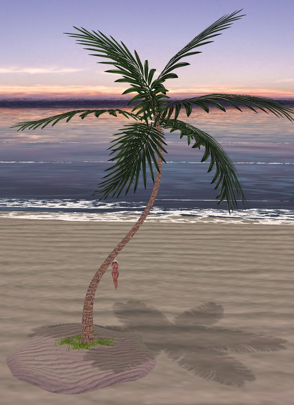Palm-tree-2