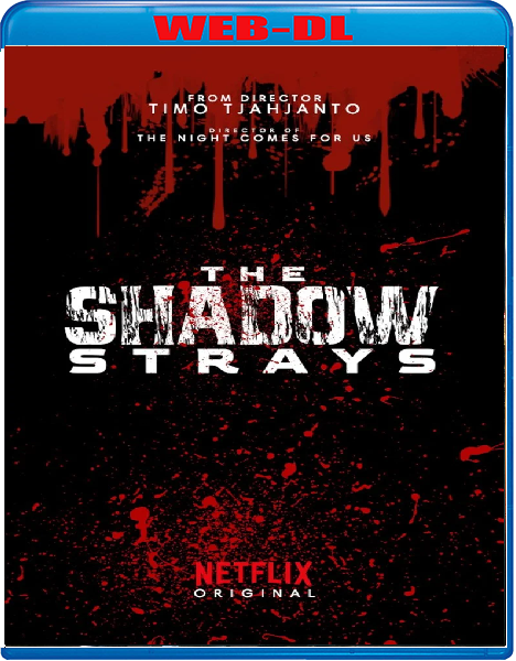 The Shadow Strays (2024) mkv FullHD 1080p WEBDL ITA Subs