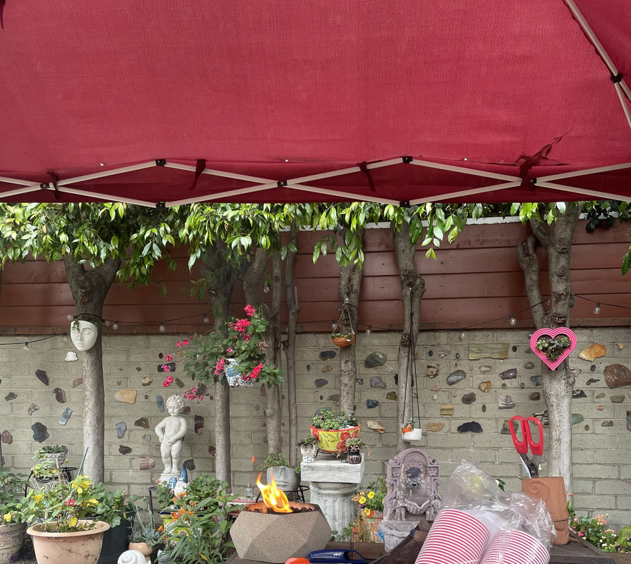 9C2751B4-1FE6-41BD-BAF1-D54E6D745032_1_201_a