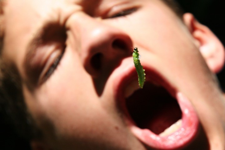 Boy-eating-bug-9-10-22