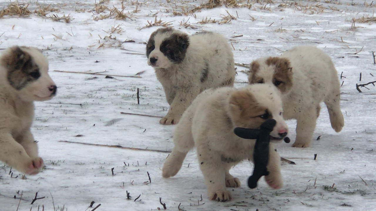 9BCED930-60AA-4554-938C-A00874EC5A19