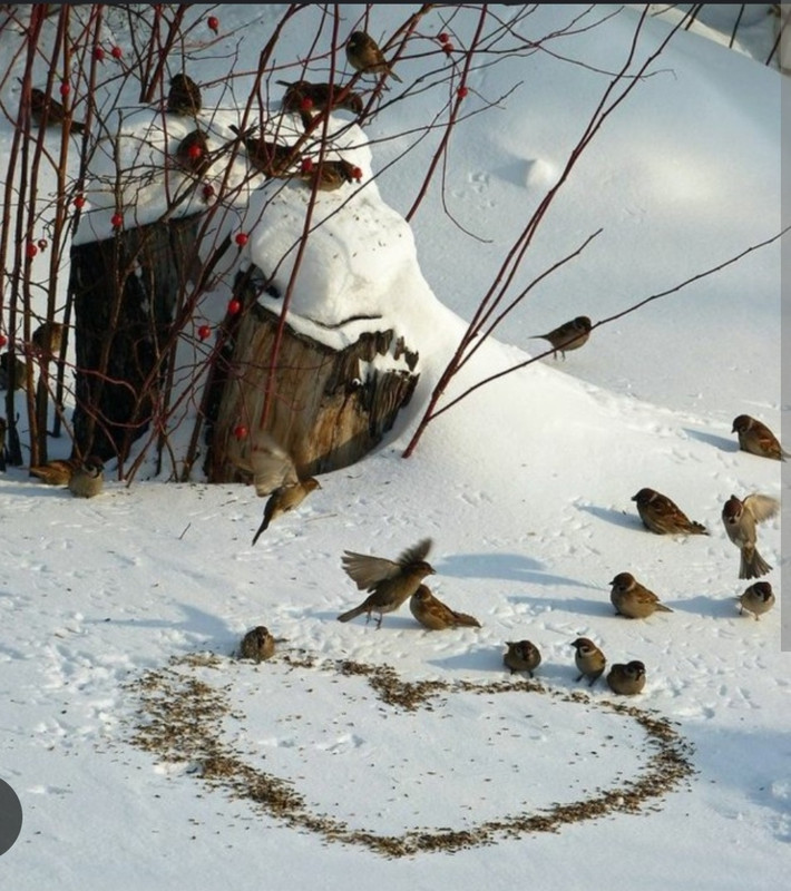 Screenshot_20221203-022043_Chrome