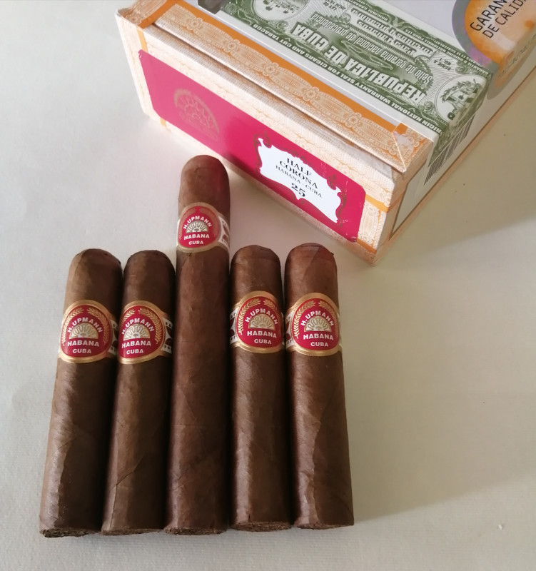 IMG_20230806_215924[1]