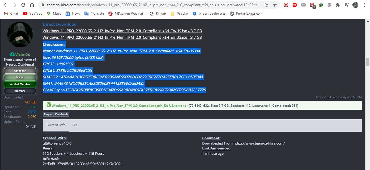 W11Pro-IP22000.65_nonTMP_Victor24