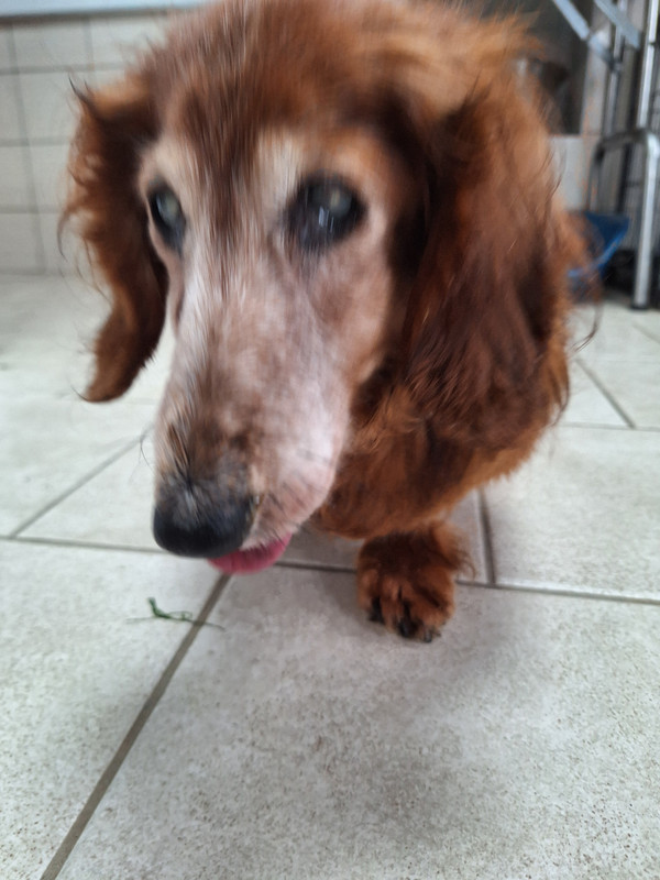 [Image: 20240312-110827.jpg]